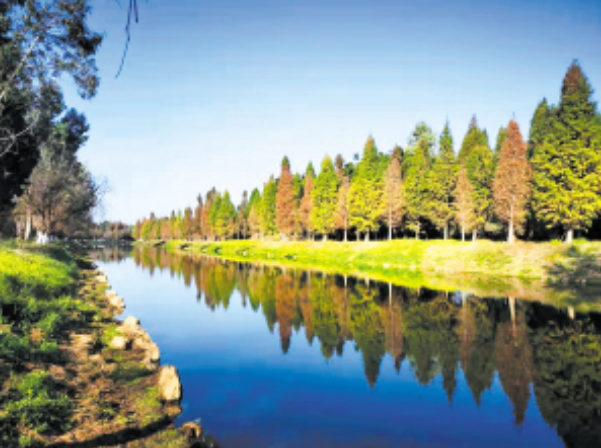 微信截圖_20210125082228