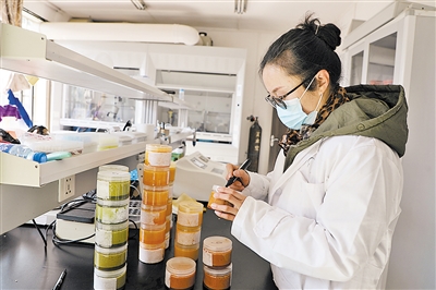 res01_attpic_brief res01_attpic_brief