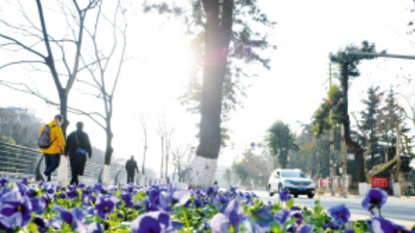 微信截圖_20210126080059 微信截圖_20210126080059