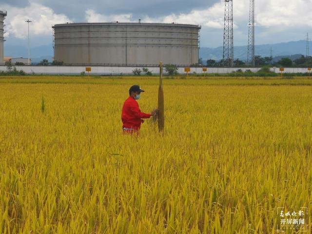 2020年云南省消費(fèi)天然氣18.63億立方米，冬季居民用氣有保障（春城晚報(bào)-開屏新聞?dòng)浾?張勇 通訊員 鄭文貞 攝影報(bào)道