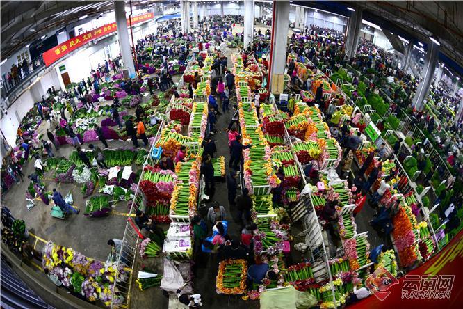 00303207937_38aa76cd 00303207937_38aa76cd