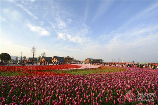 00303207971_56e87b16 00303207971_56e87b16