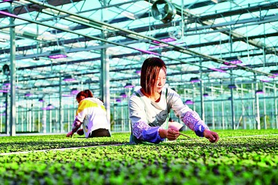 實(shí)現(xiàn)共同富裕是關(guān)系黨的執(zhí)政基礎(chǔ)的重大政治問(wèn)題 實(shí)現(xiàn)共同富裕是關(guān)系黨的執(zhí)政基礎(chǔ)的重大政治問(wèn)題