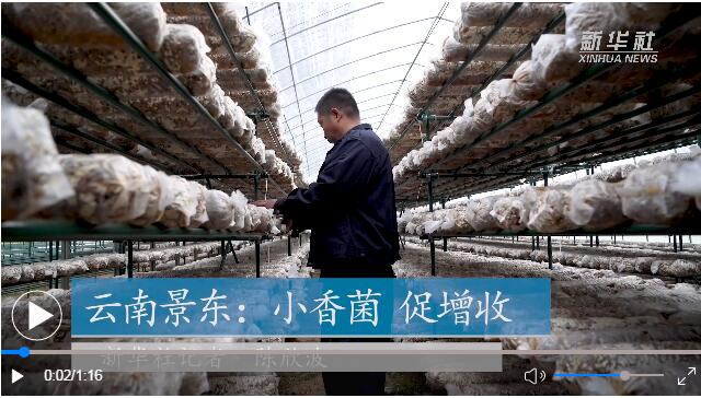 點(diǎn)擊觀看視頻