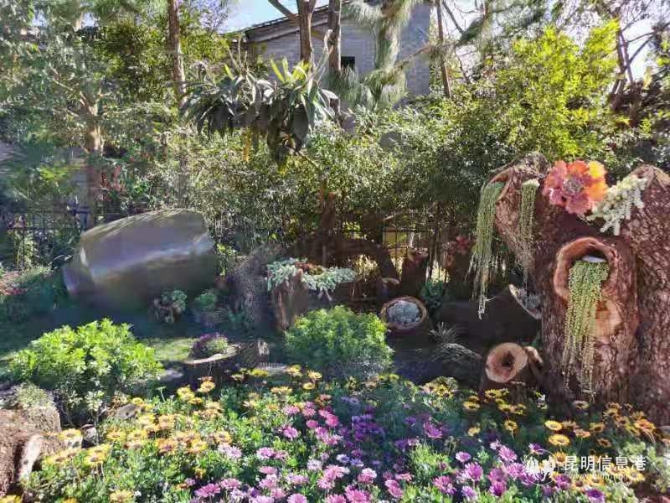 微信圖片_20210201103404 微信圖片_20210201103404