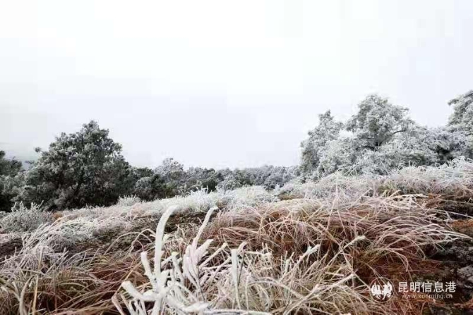 微信圖片_20210201103408 微信圖片_20210201103408