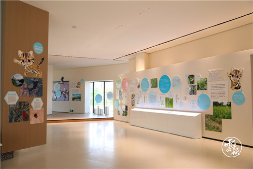 code_ynrb921fd147-9a2f-4e37-905e-1cd16049ea7b.jpg code_ynrb921fd147-9a2f-4e37-905e-1cd16049ea7b.jpg