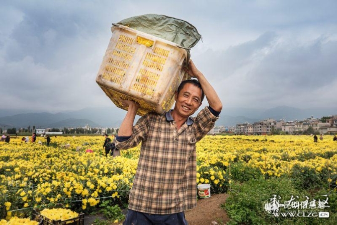 1.《社會主義新農(nóng)村》 松木有骨攝 1.《社會主義新農(nóng)村》 松木有骨攝