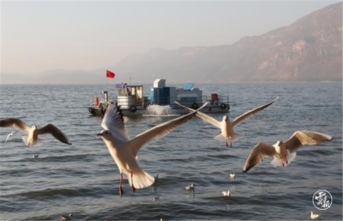 binary_middle (1).jpg