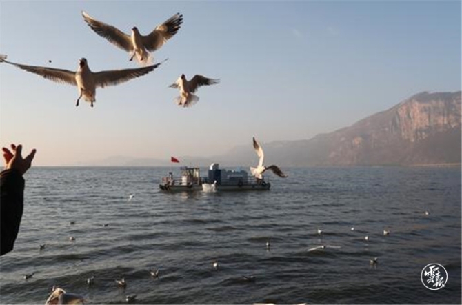 binary_middle (2).jpg