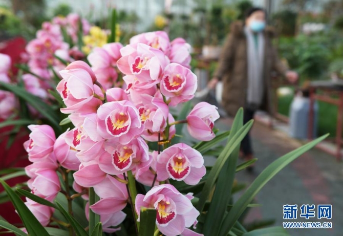 1127056326_16122742079641n 1127056326_16122742079641n