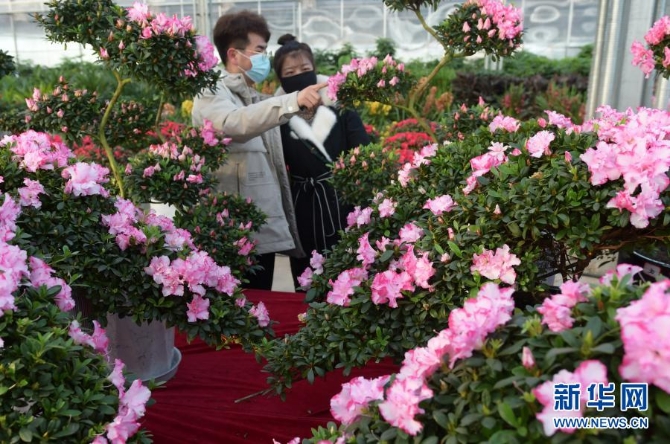 1127056326_16122742079941n 1127056326_16122742079941n