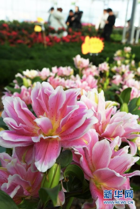 1127056326_16122742080541n 1127056326_16122742080541n