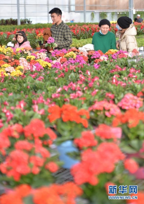 1127056326_16122742080841n 1127056326_16122742080841n