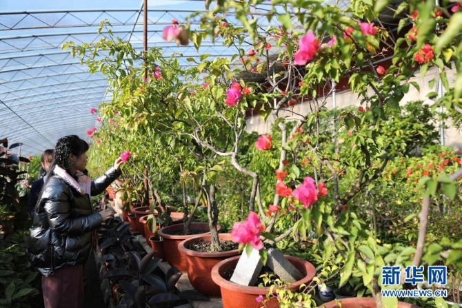 1127056326_16122742081041n 1127056326_16122742081041n