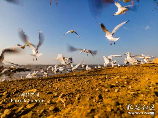 16122456284913727971434893688_6201 16122456284913727971434893688_6201