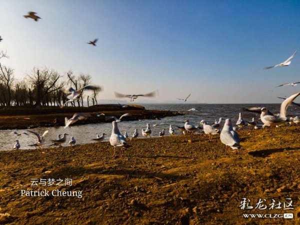 16122456285075950835756155550_6201 16122456285075950835756155550_6201