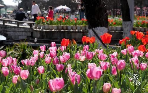 微信圖片_20210205143308 微信圖片_20210205143308