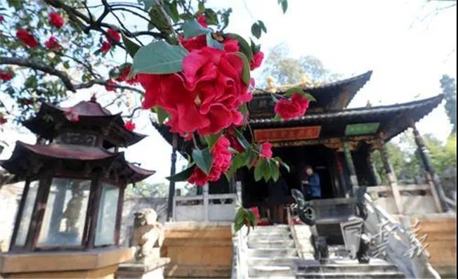 微信圖片_20210205143431 微信圖片_20210205143431