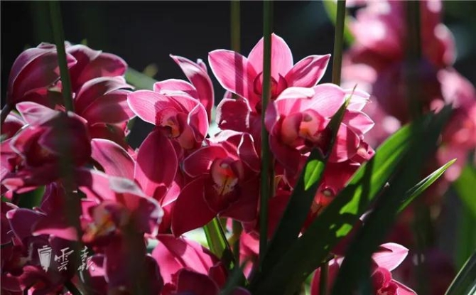 微信圖片_20210205143440 微信圖片_20210205143440