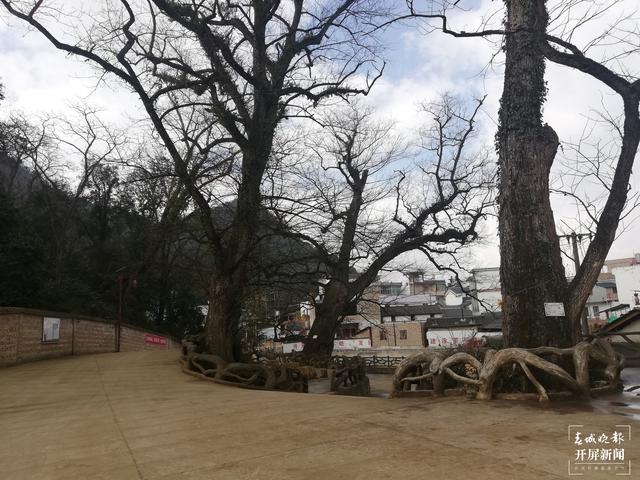 新春走基層 | 兩個村寨展示那段“紅色”歲月（新春走基層 | 兩個村寨展示那段“紅色”歲月