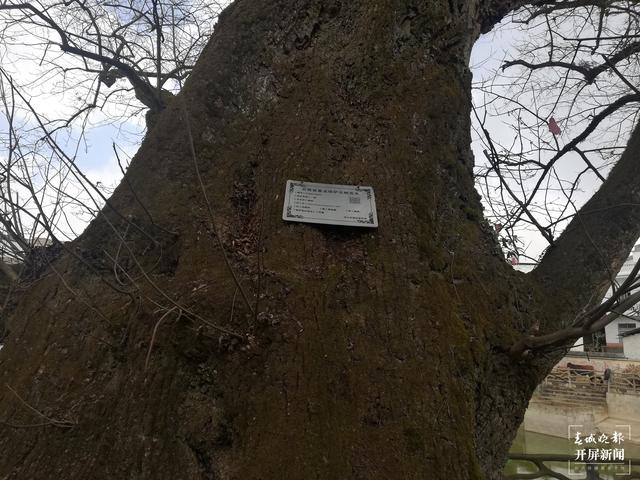 新春走基層 | 兩個村寨展示那段“紅色”歲月（新春走基層 | 兩個村寨展示那段“紅色”歲月