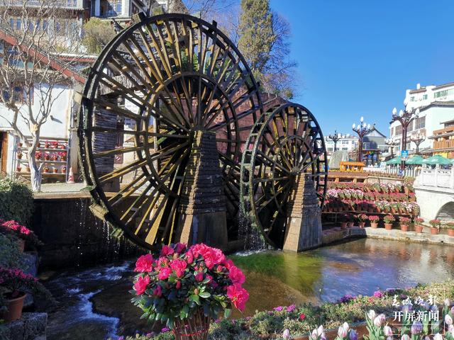 麗江古城鮮花盛放（ 圖片由@寧琳 提供）