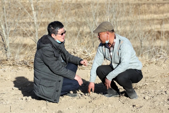 林玉清指導(dǎo)農(nóng)民種植艾草.webp 林玉清指導(dǎo)農(nóng)民種植艾草.webp