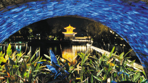 6851612892442210 6851612892442210