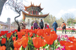 38111613232182493 38111613232182493