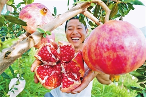 2021021805_res08_attpic_icon 2021021805_res08_attpic_icon