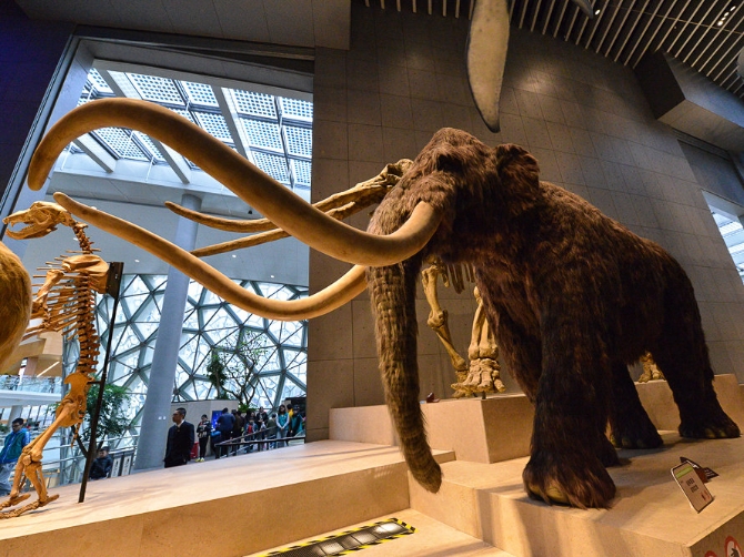 19868385_1459498979364_mthumb 19868385_1459498979364_mthumb