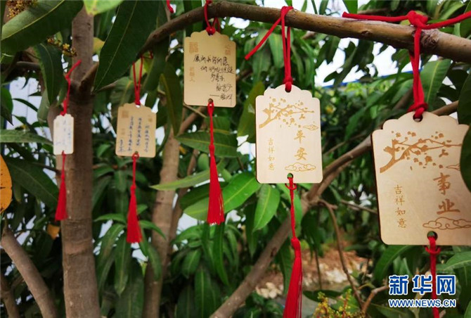 1127107423_16135587865341n