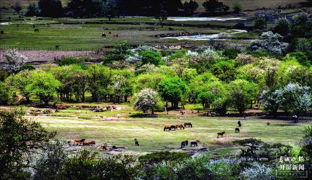 德宏州（德宏州文化和旅游局供圖）