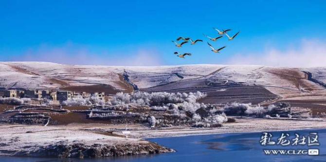 16135450856891549580646693488_18323 16135450856891549580646693488_18323