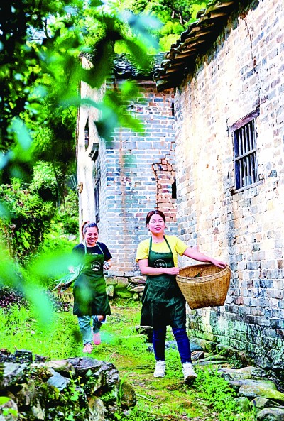 歸巢與守望：返鄉(xiāng)“小鎮(zhèn)青年”群體探究