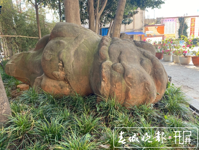 昆明300歲“石獅四兄弟”失散70多年有望團聚圖 (5).jpg