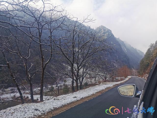 “春雪”與“春花”在迪慶相遇