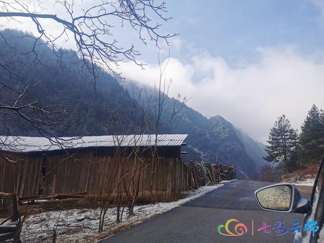 “春雪”與“春花”在迪慶相遇