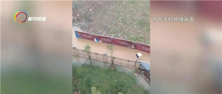 微信圖片_20210222230853 微信圖片_20210222230853