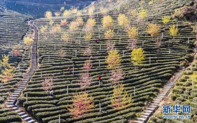 1127125292_16139835785731n