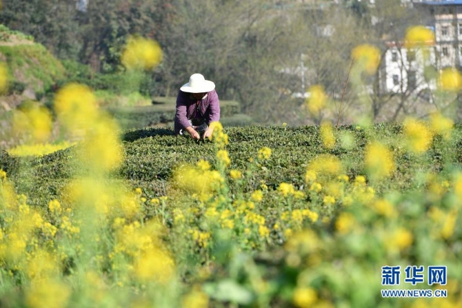 1127125292_16139835787521n