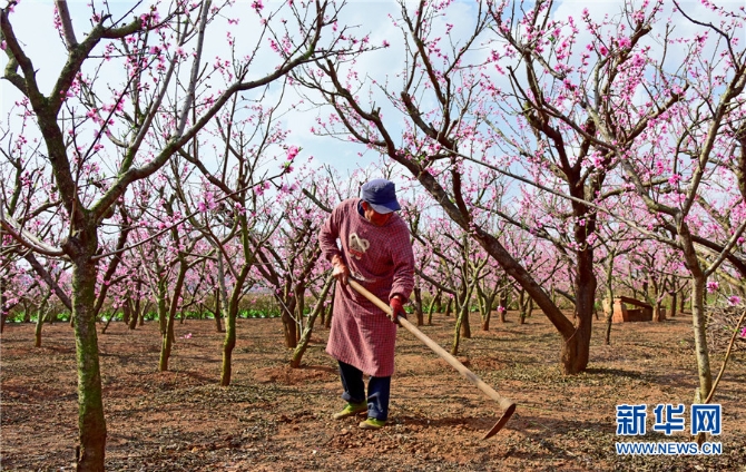 139759001_16140407632331n 139759001_16140407632331n