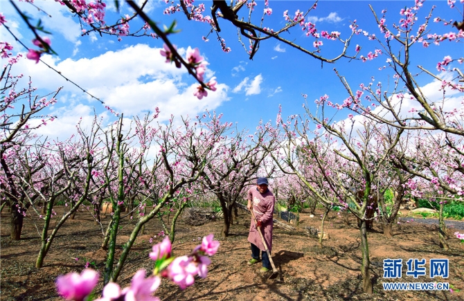 139759001_16140407634121n 139759001_16140407634121n