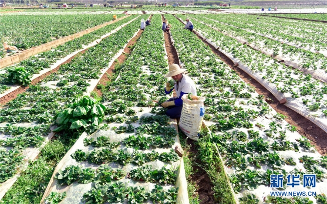 139759001_16140407635631n 139759001_16140407635631n