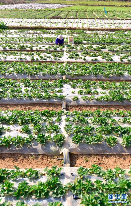 139759001_16140407637231n 139759001_16140407637231n