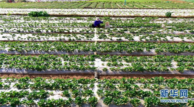 139759001_16140407640381n 139759001_16140407640381n