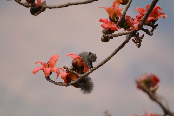 1614218758355779.jpg 微信圖片_20210223105517.jpg