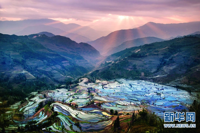 139771406_16144030700331n