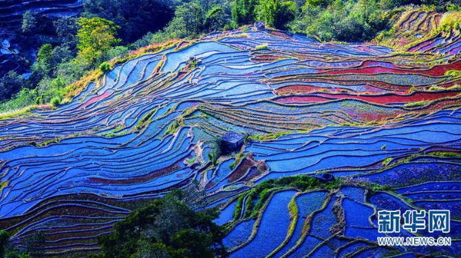 139771406_16144030702191n